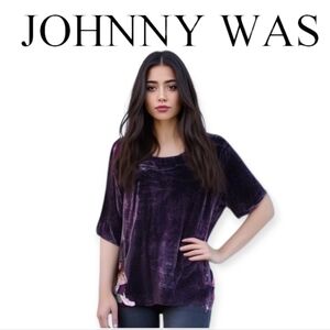 Johnny Was Silk & Crushed Velvet Blouse XS Deep Purple Luxe Romantic Gothic Top